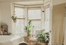 알레르기 예방과 관리를 위한 팁 brown wooden framed white padded chair in between green indoor leaf plants inside bedroom
