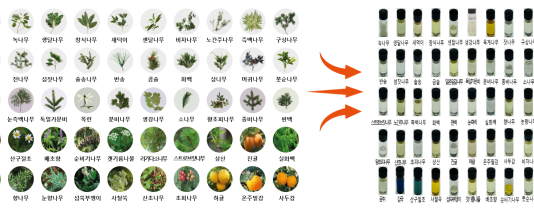 ‘향기’로 기억되는 숲, 생물다양성의 가치를 밝히다!