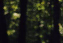 만성 통증, 대체요법으로 삶의 질 높인다 green moss on gray rock