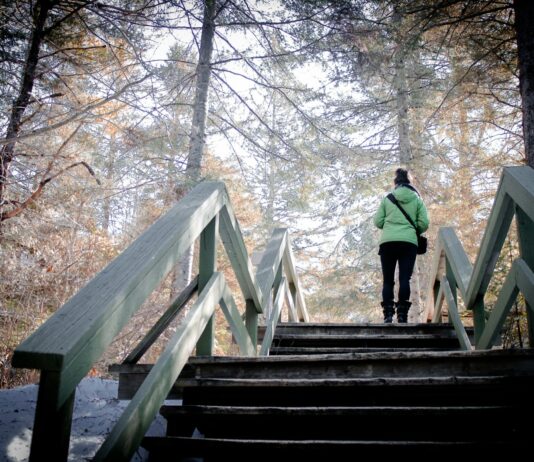 골다공증 예방, 뼈 건강을 지키는 생활습관과 식습관 a woman walking up a set of stairs in the woods