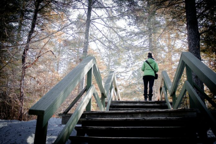 Photo by Benjamin Chausse a woman walking up a set of stairs in the woods