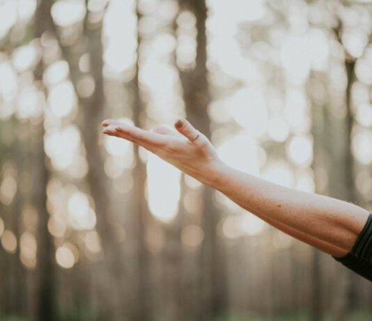 웰니스 문화의 진화, ‘나만의 건강 루틴’이 트렌드로 tilt shift lens photography of person lifting hand