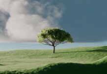 ‘마음챙김’ 라이프 스타일, 스트레스 관리와 건강 증진에 도움 A single tree on a vibrant green rolling hill.